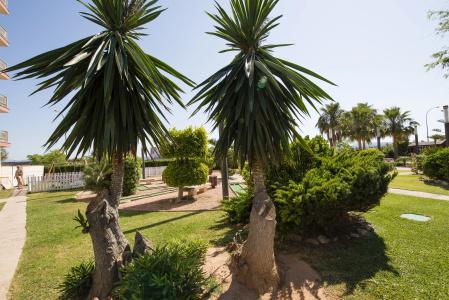 Helios Mallorca & Apartments - 26