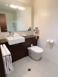 QUALITY INN HERITAGE ON LYDIARD - 16