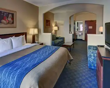 Quality Inn & Suites Irving DFW Airport South - 5