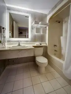 Monte Carlo Inn Toronto - Markham - 8