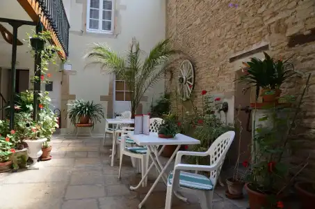 Hôtel des Tonneliers - 15