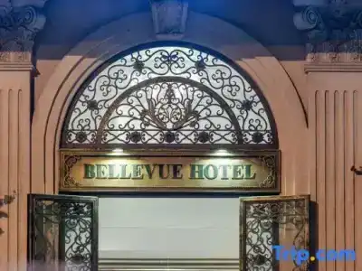 Bellevue - 53