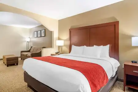 Comfort Inn & Suites Macon North I-75 - 35