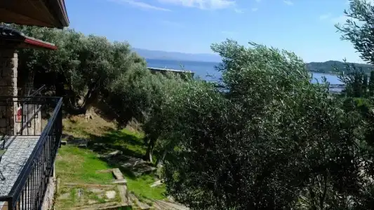 Assos Longevity - 47