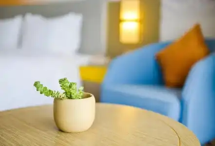 Holiday Inn Express Lhasa Potala Palace by IHG - 9