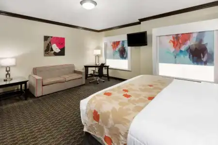 Hawthorn Suites by Wyndham Lubbock - 31