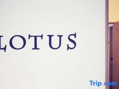 Lotus - 60