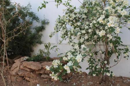 Hostal Rosell Boutique - 57