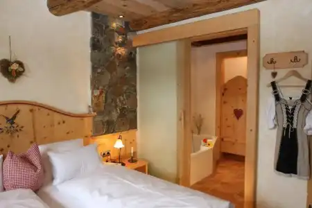 Almdorf Flachau - Luxus Hüttenurlaub - 4