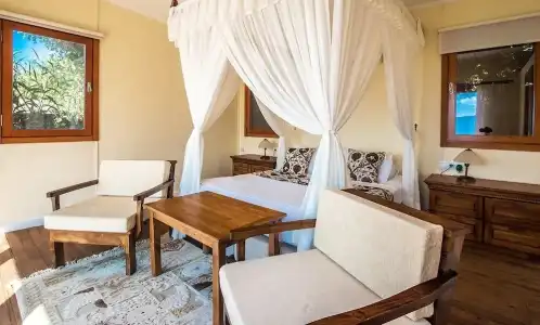 Kabak Avalon - 10