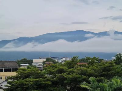 Gord Chiangmai - 85