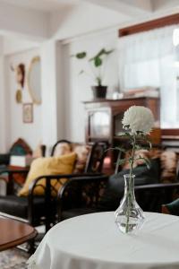 Malarer Boutique Hostel - 5