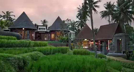 Green Field Resort - 127