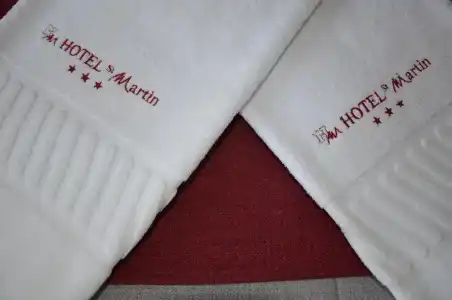 Hôtel Saint Martin - 65