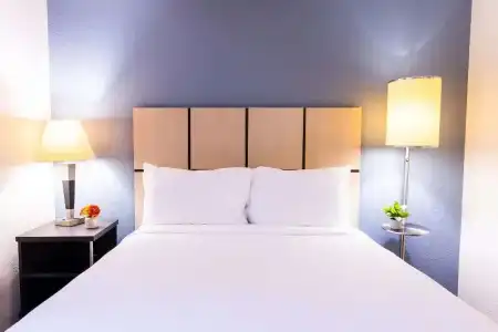 Sonesta Simply Suites Austin South - 68