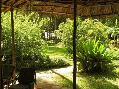 Peponi Beach Resort - 10