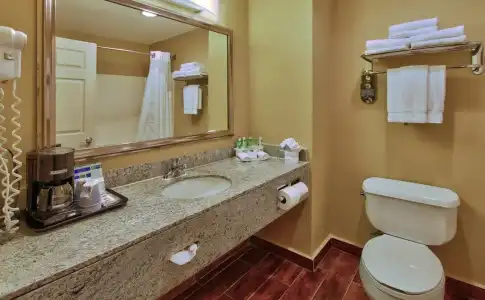 Best Western Premier Houston Downtown/Convention Center - 9