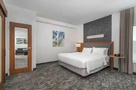 SpringHill Suites by Marriott Chattanooga Downtown/Cameron Harbor - 64