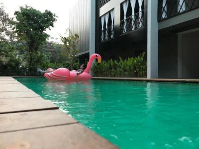 Shane Chiangmai - 23