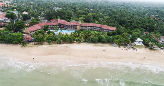 The Palms - 10
