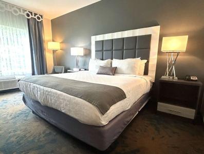Best Western Erie Inn & Suites - 31