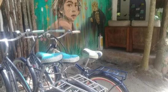 Dos Ceibas Tulum - Feel Good - 26