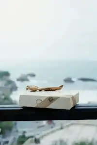 Plaza Biarritz Plage - Handwritten Collection - 138