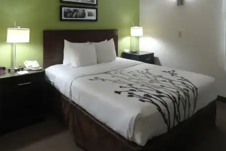 Sleep Inn & Suites Columbus - State University Area - 24
