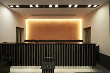 Sotetsu Fresa Inn Ochanomizu Jimbocho - 2