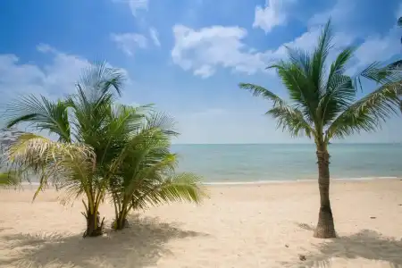Lamai Resort - 59