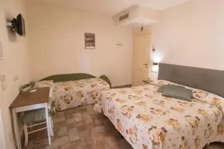 Rosa di Assisi - 88