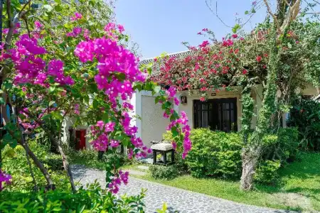Anja Beach Resort & Spa - 207