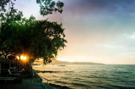 Mimoza Beach - 33