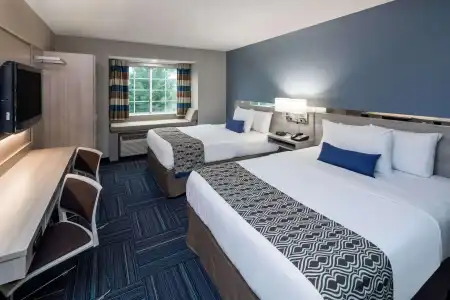 Microtel Inn & Suites by Wyndham Greenville / Woodruff Rd - 5