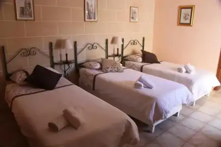 Green Grove Guest House - 5