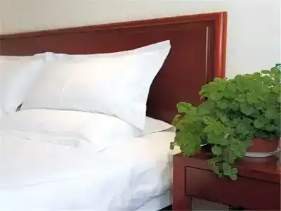 Greentree Inn Beijing Qinghe East Shangdi Anning R - 11