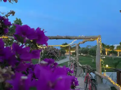 Eco Beach and Magic Garden - 19