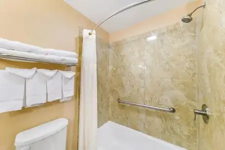 Quality Inn & Suites Lubbock South - 32