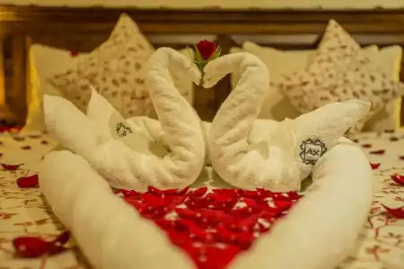 Traditional Comfort Boutique - 6