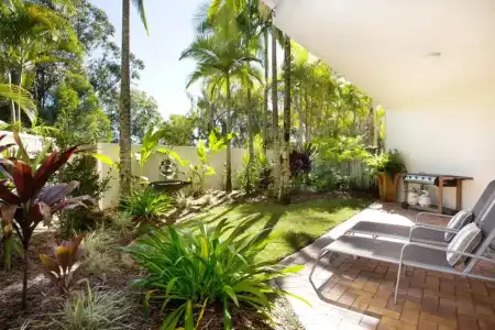 Noosa Tropicana - 241
