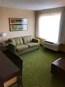TownePlace Suites by Marriott Lexington South/Hamburg Place - 59