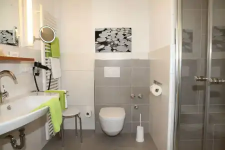 Alexa - 55
