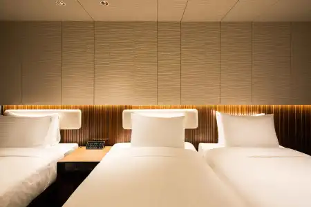 Sotetsu Fresa Inn Seoul Myeong Dong - 1