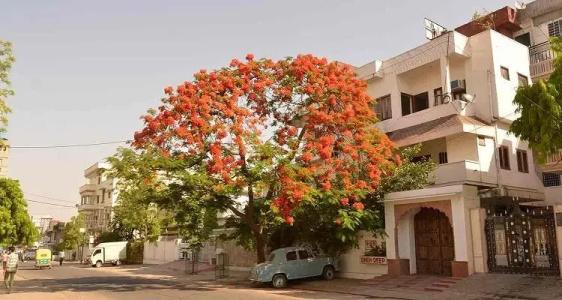 Sneh Deep Guest House - 18