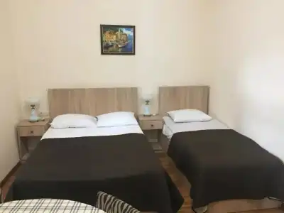 公寓 საოჯახო სასტუმრო “Borjomi Guest house“ - 2