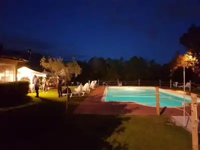 Airone Pisa Ristorante - 9