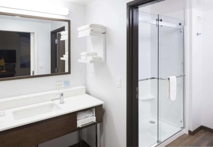 Hampton Inn and Suites by Hilton Phoenix Downtown - 8