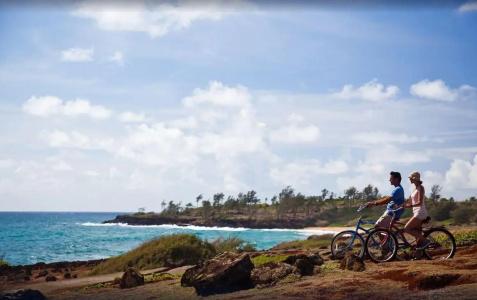 Kauai Shores - 22