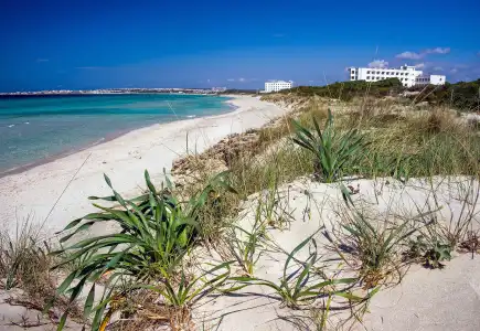 Ecoresort Le Sirenè - Carolis - 28
