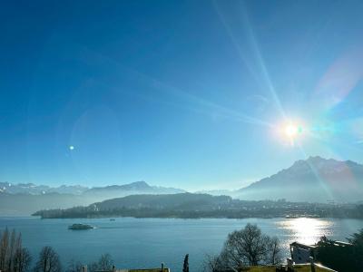 Royal Luzern - 10